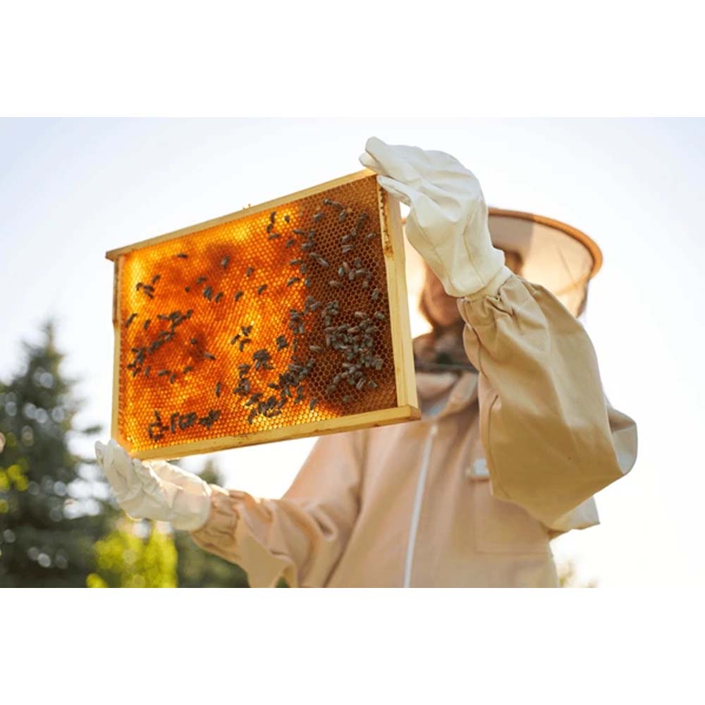 Cornice Mini Plus Clip