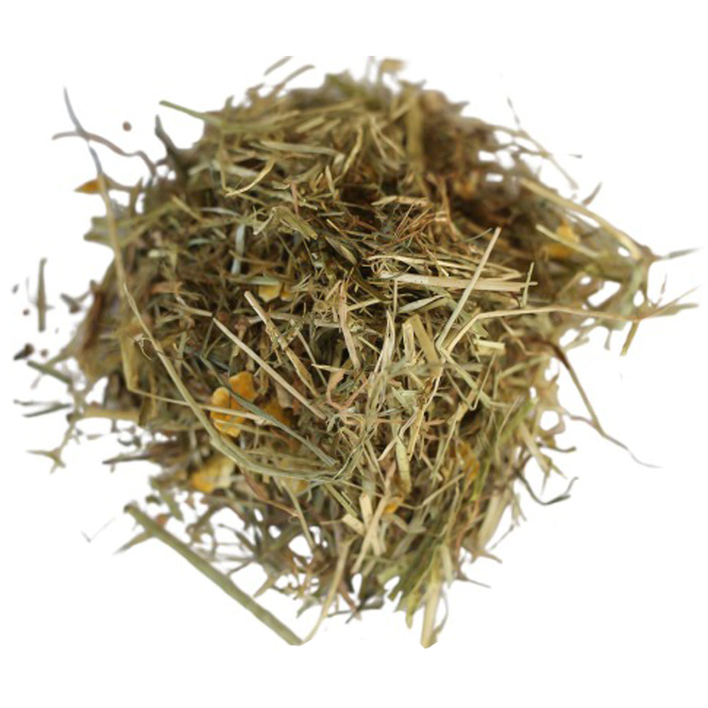 Unifeed Energia per Vacche da Latte – Nutrizione Energetica per Massima Produzione di Latte