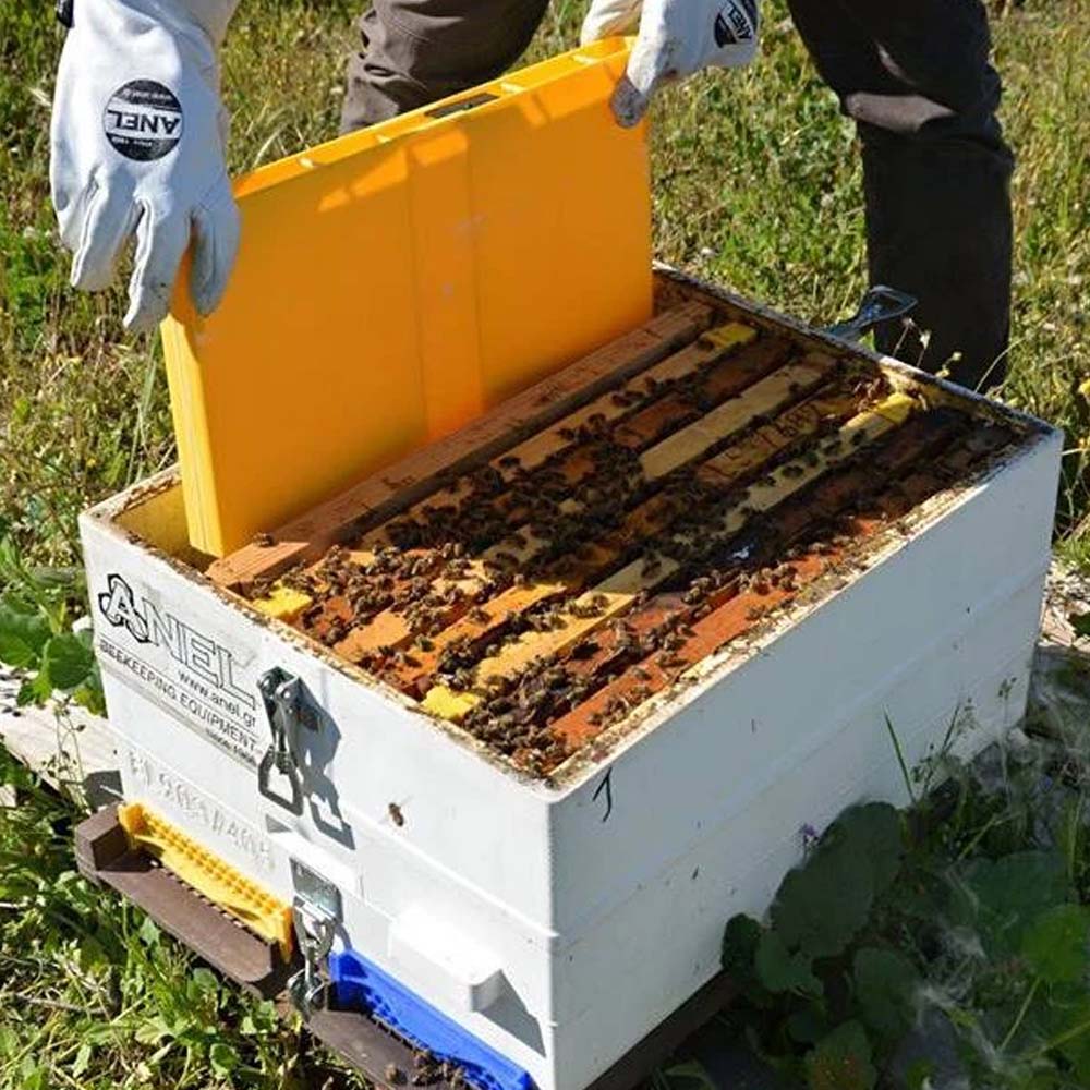 Nutritore A Coprifavo Copertura Superficie Totale 4 Kg Professionale Dadadant 6F Anel