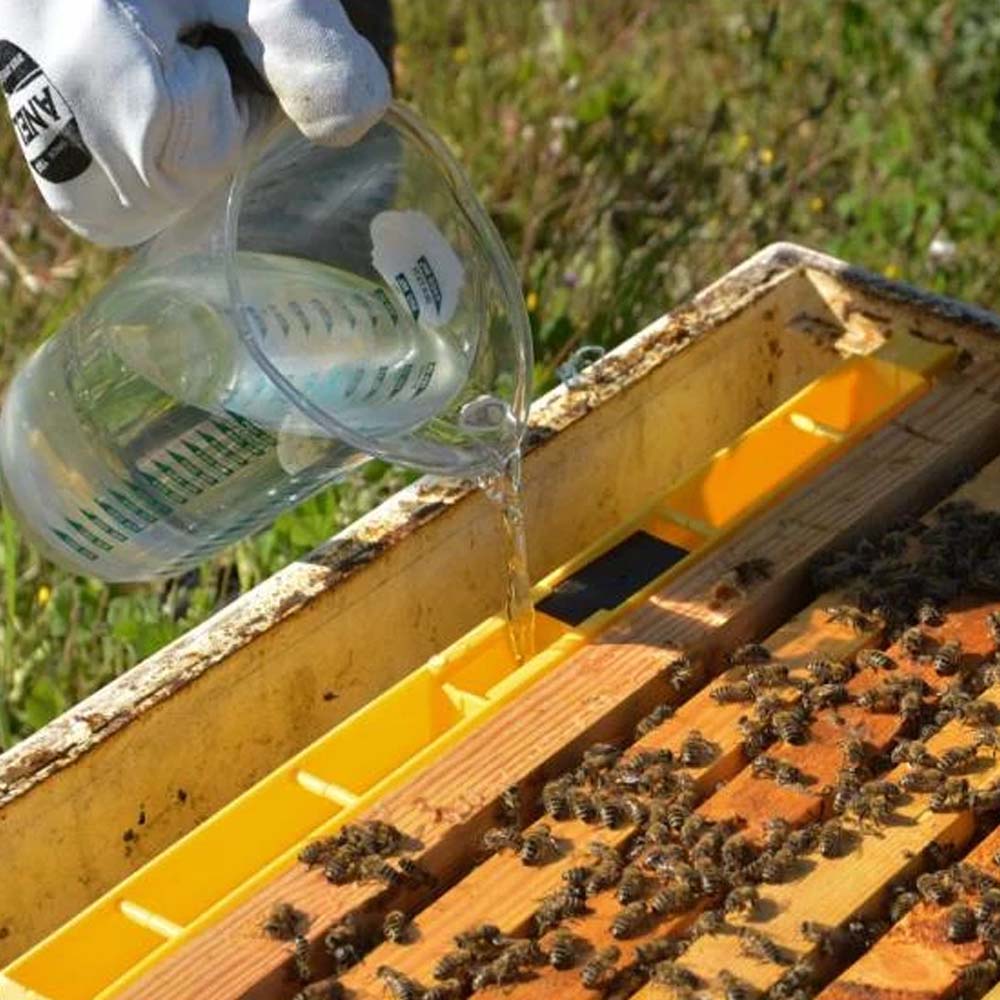 Nutritore A Coprifavo Copertura Superficie Totale 4 Kg Professionale Dadadant 6F Anel