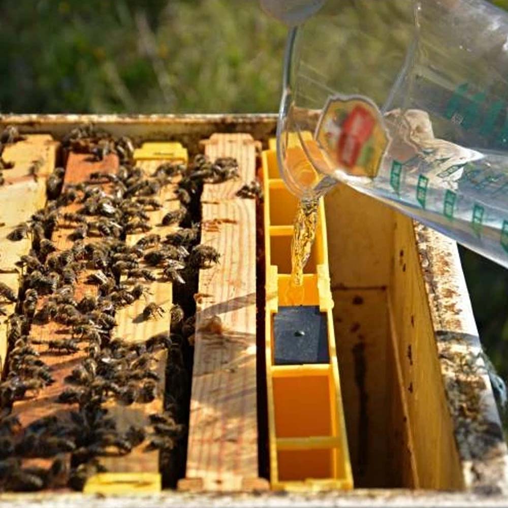 Nutritore A Coprifavo Copertura Superficie Totale 4 Kg Professionale Dadadant 6F Anel