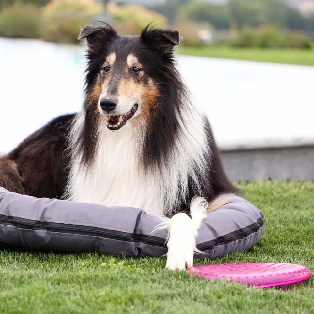 Frisbee ToyFastic in Gomma Termoplastica