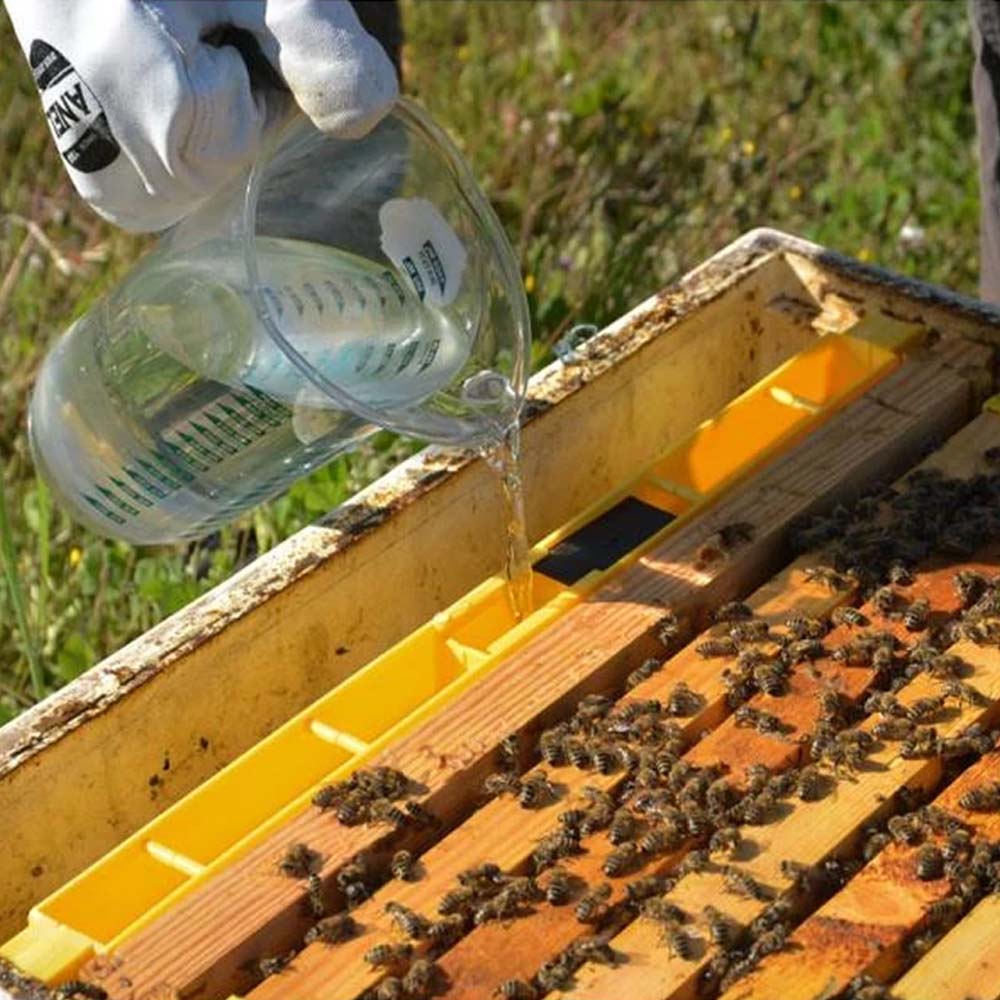 Api-Bioxal Un Farmaco Veterinario a Base di Acido Ossalico per il Controllo della Varroa nelle Api