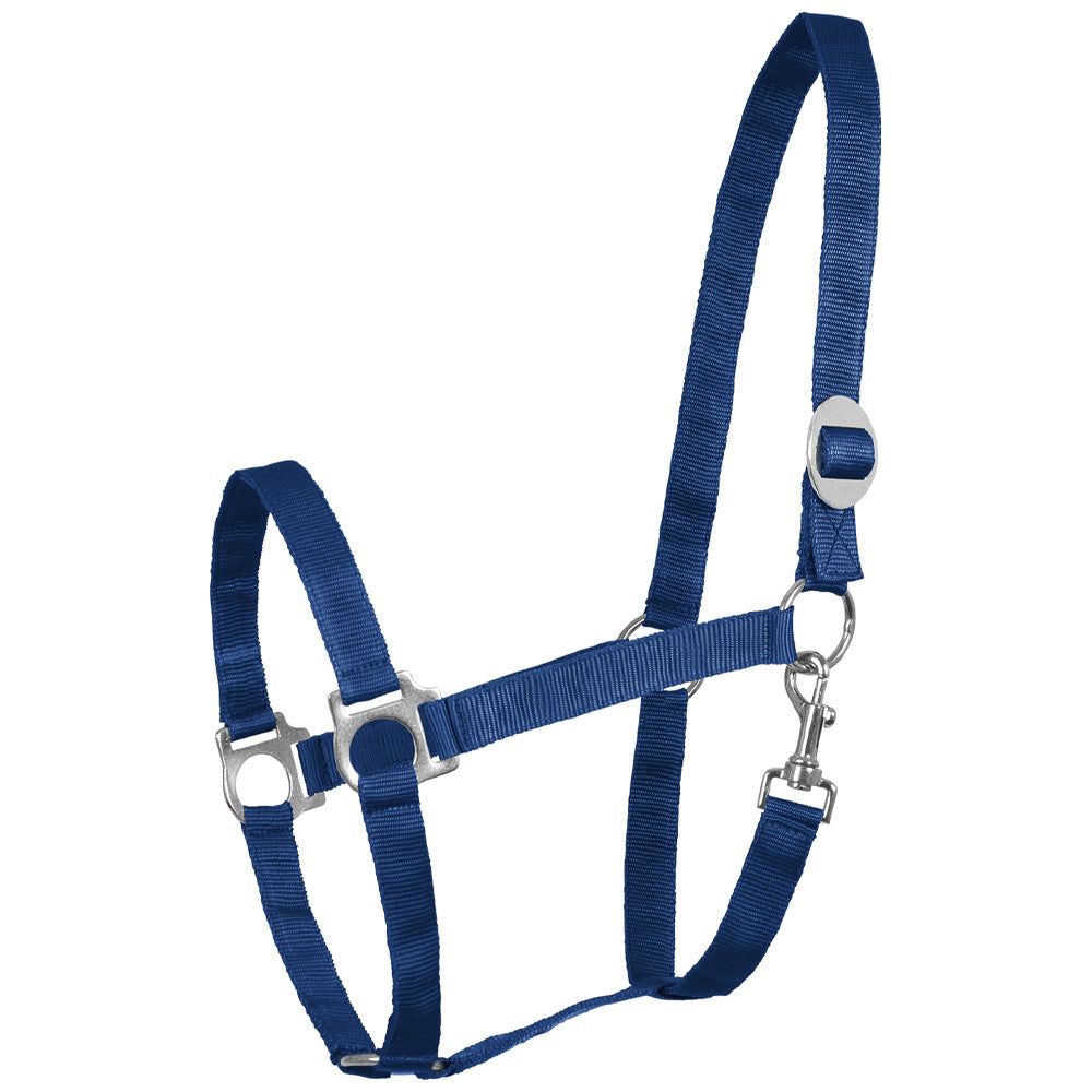 Capezza in perlon morbida con fibbieria satinata e sovracapo regolabile