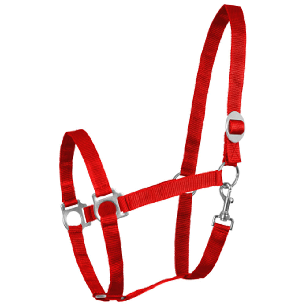 Capezza in perlon morbida con fibbieria satinata e sovracapo regolabile