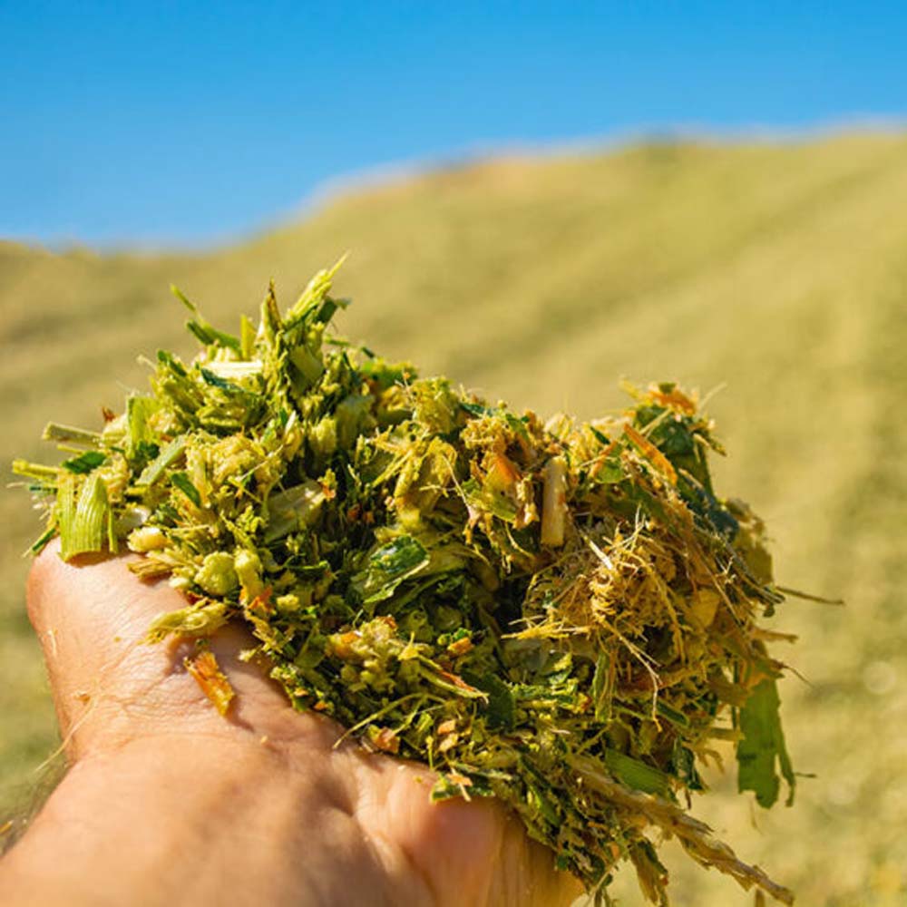 Additivi insilati Kofasil Ultra