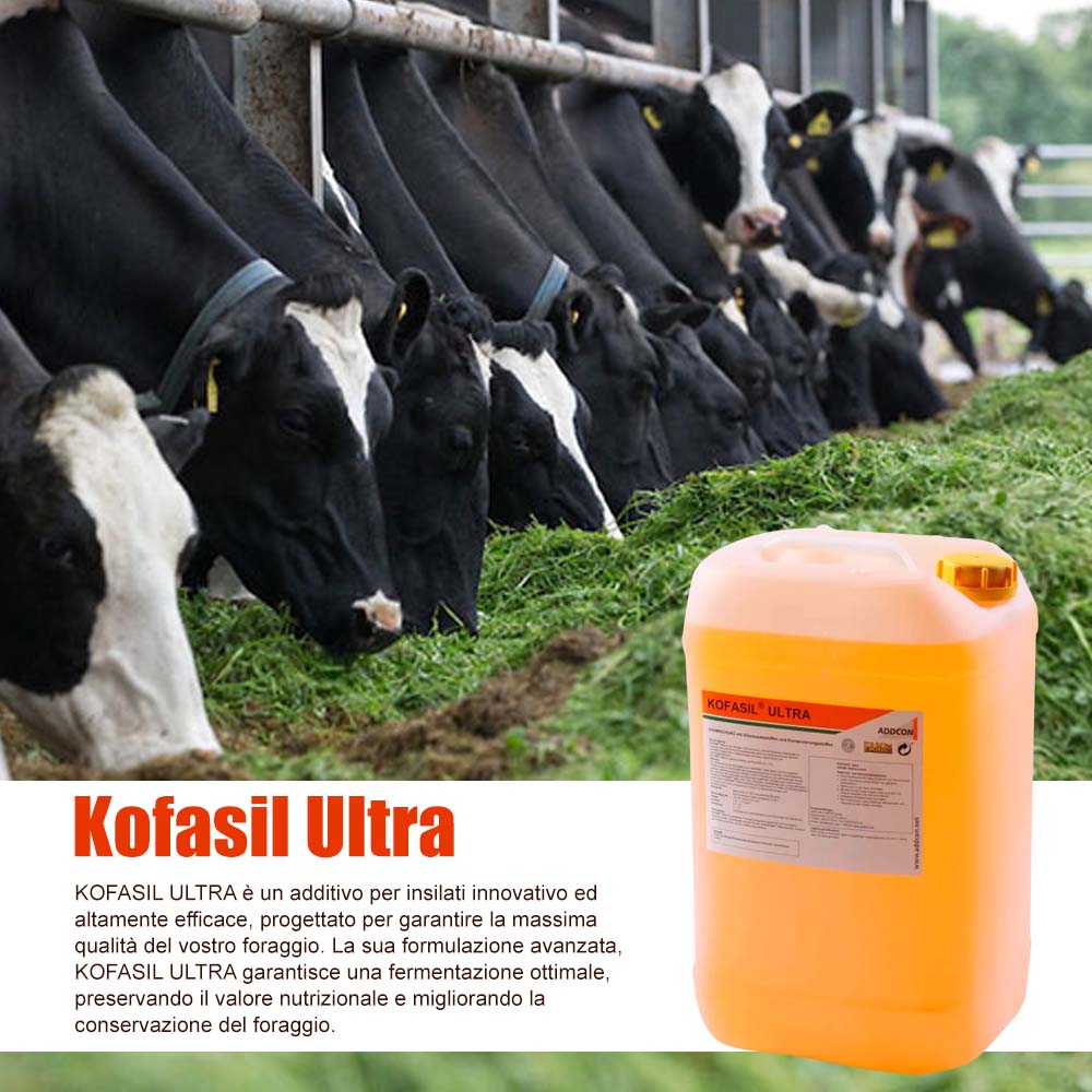 Additivi insilati Kofasil Ultra