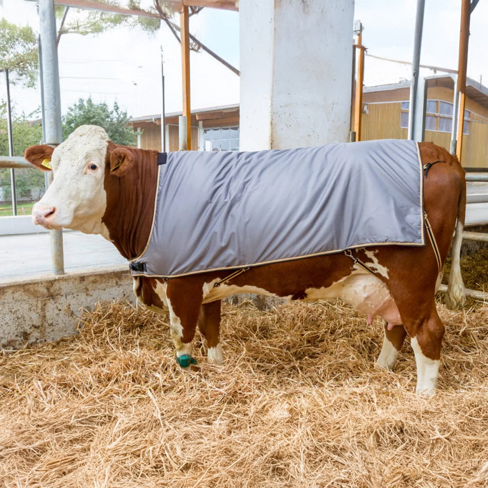 Coperta termica impermeabile per mucche