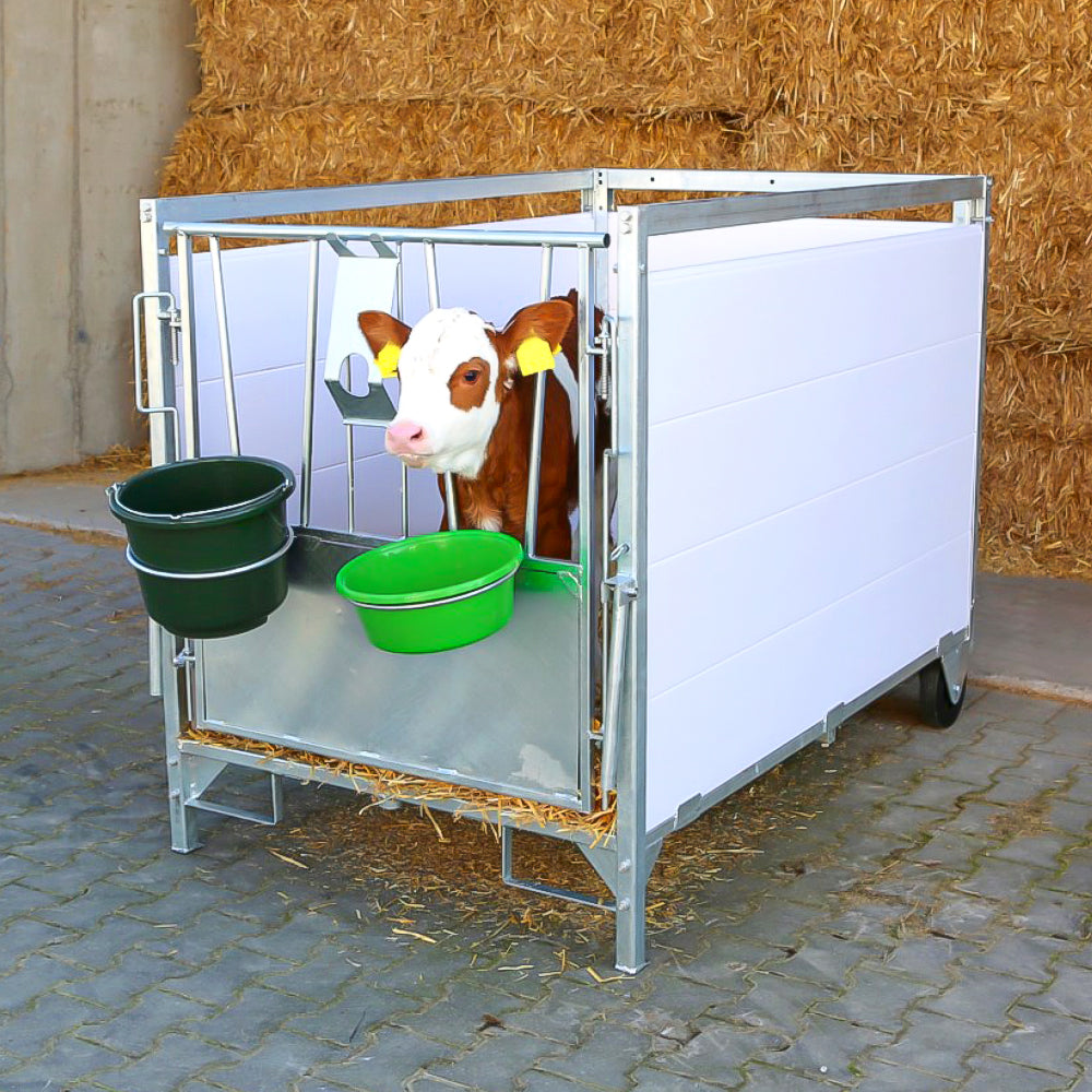 Box per vitelli con griglia antiscivolo e pannelli PVC