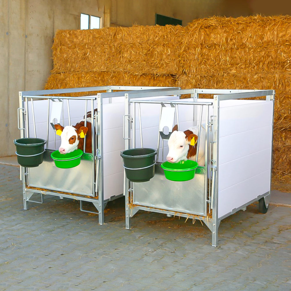 Box per vitelli con griglia antiscivolo e pannelli PVC