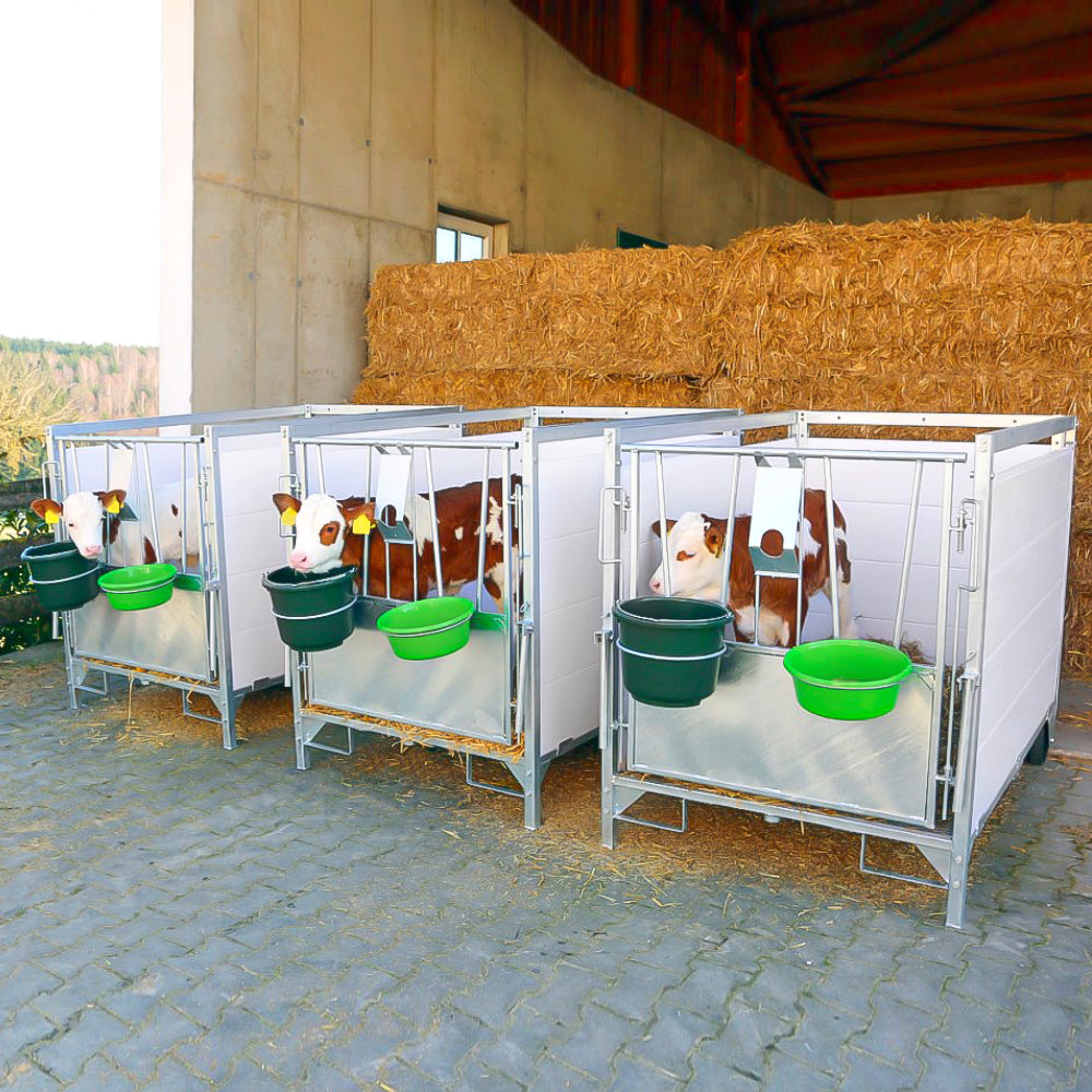 Box per vitelli con griglia antiscivolo e pannelli PVC