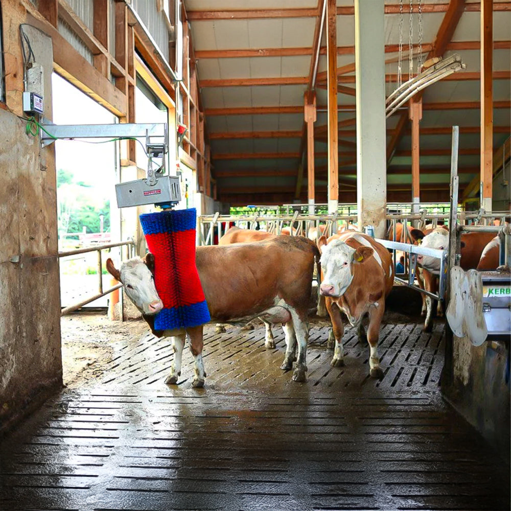 Spazzoloni Per Bovini Happycow Maxiswing Elettronica