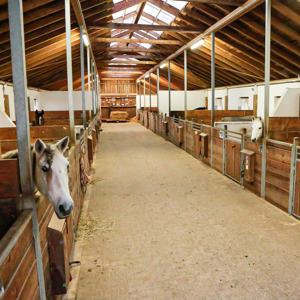 IPCam 360 FHD Compatta/mini con Visione Notturna Wi-Fi