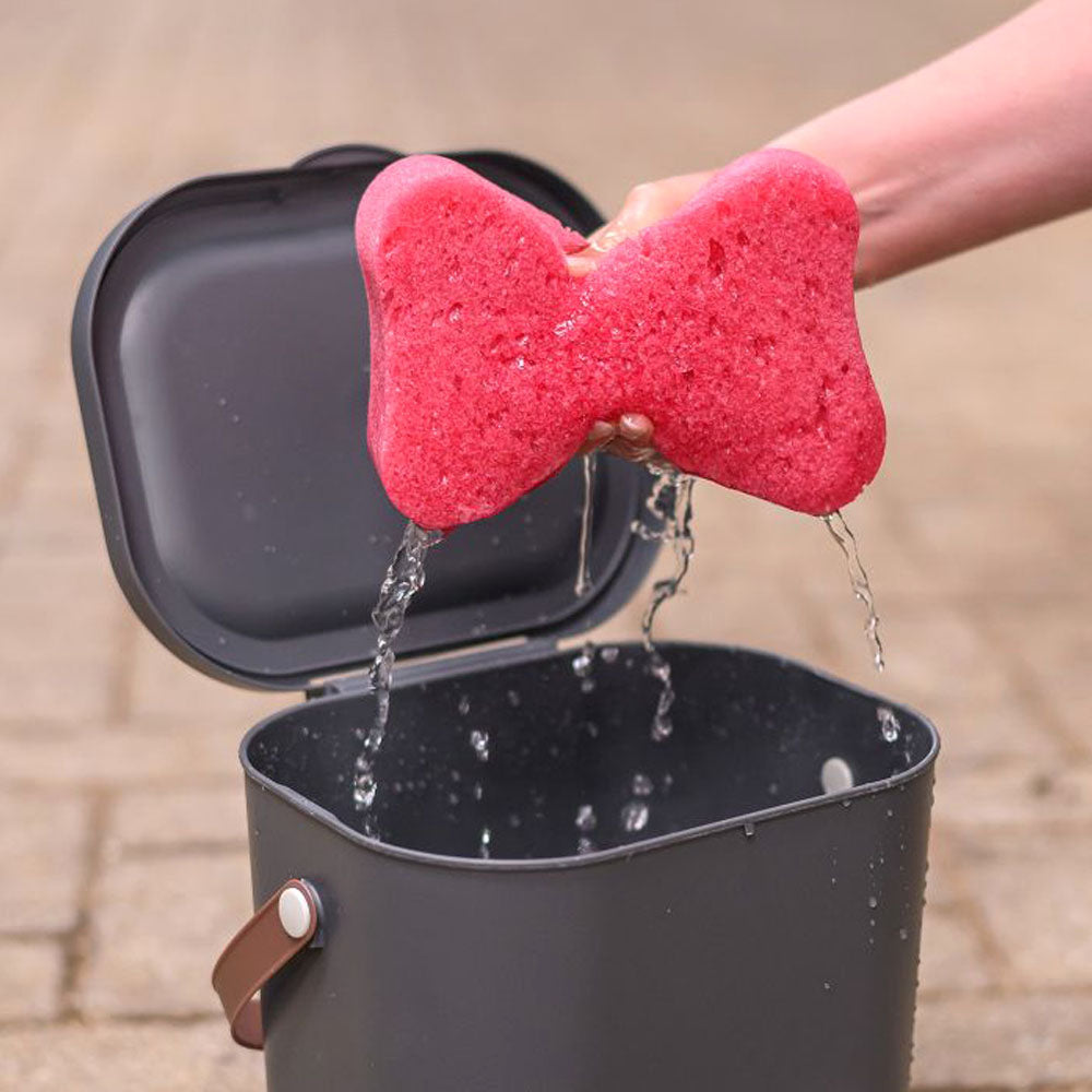 Spugna per Cura Cavallo Rosa