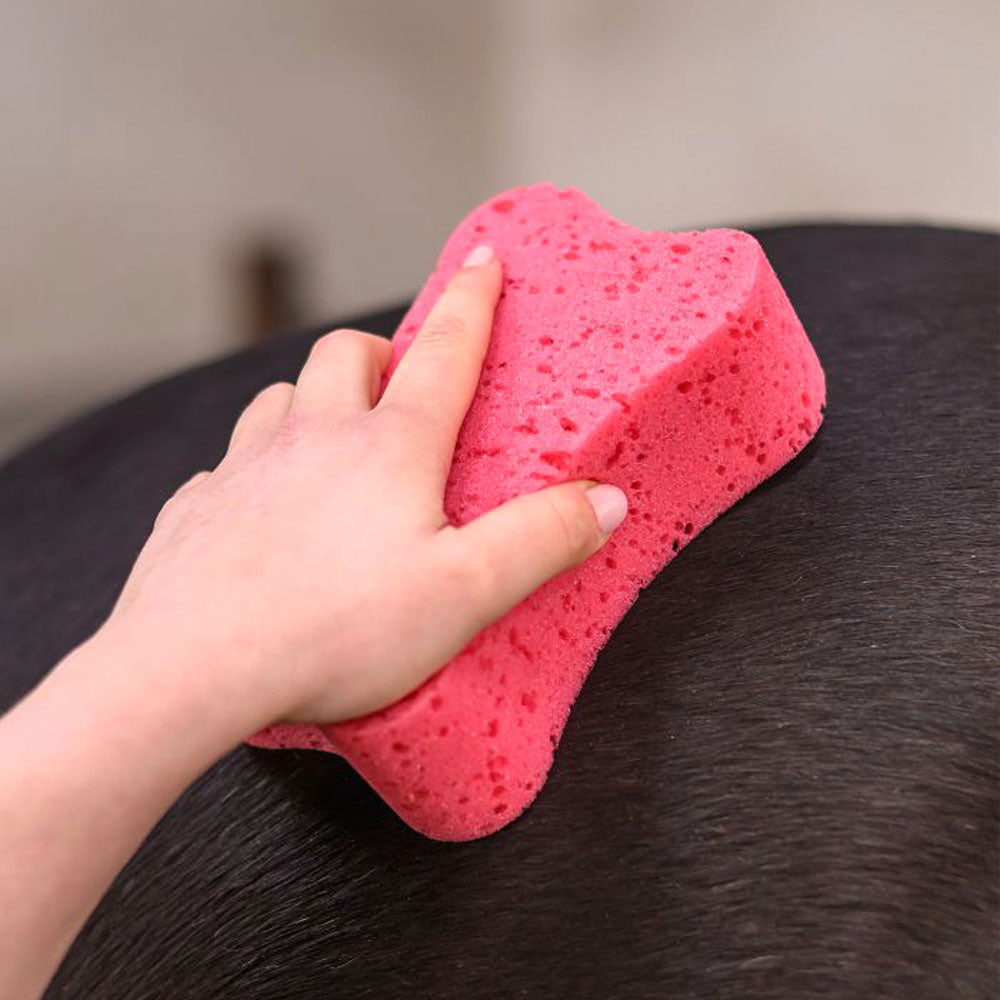 Spugna per Cura Cavallo Rosa