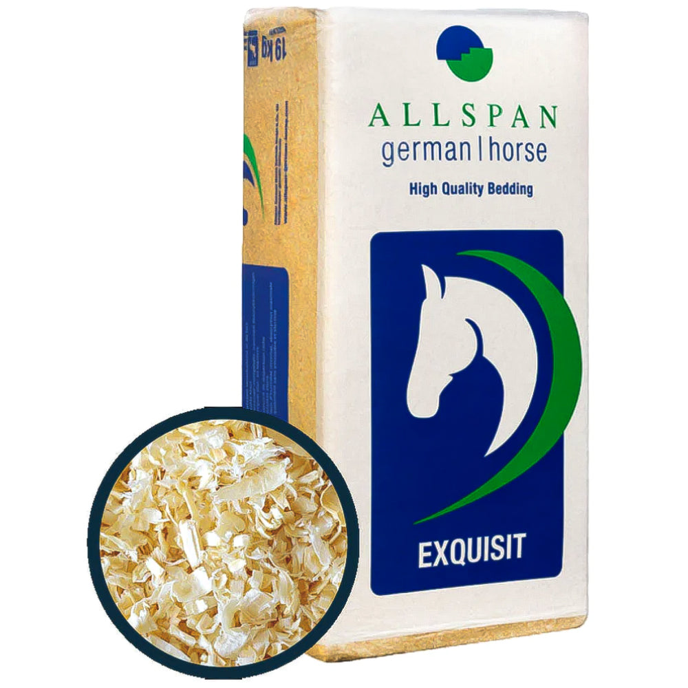 Allspan German Horse Span Per Il Tuo Cavallo