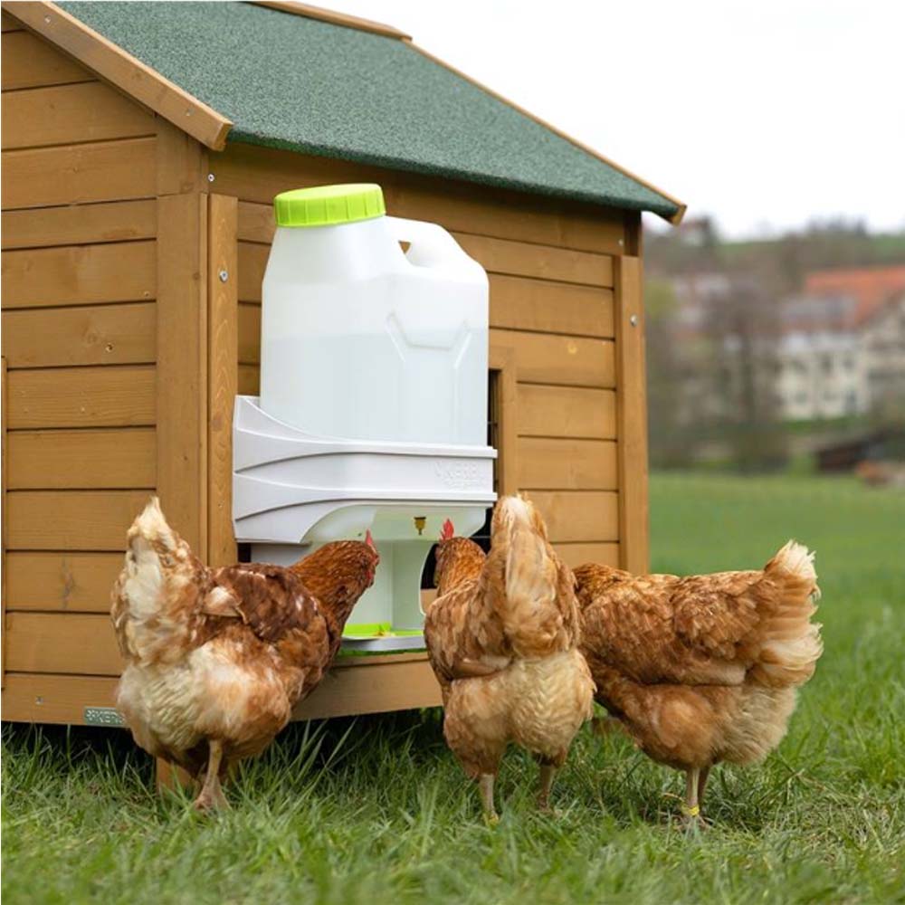 Riscaldatore per abbeveratoio SmartCoop con sensore di livello per controllare l'acqua di gallina