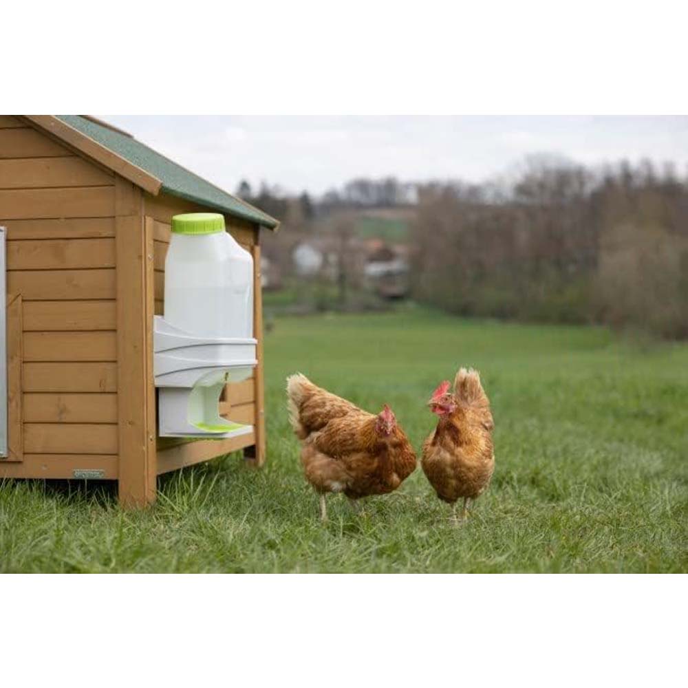 Riscaldatore per abbeveratoio SmartCoop con sensore di livello per controllare l'acqua di gallina