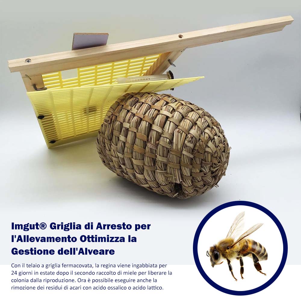 Imgut® Griglia di Arresto per l'Allevamento Ottimizza la Gestione dell'Alveare