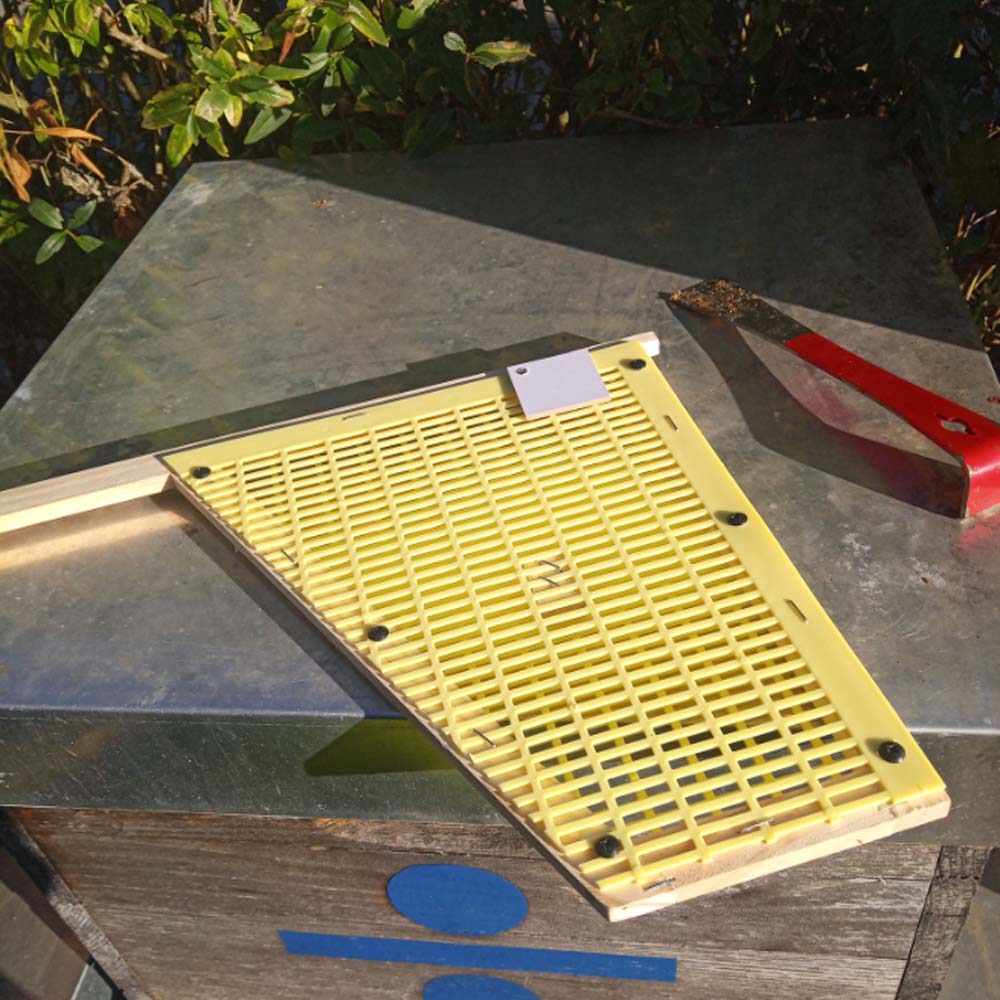 Imgut® Griglia di Arresto per l'Allevamento Ottimizza la Gestione dell'Alveare