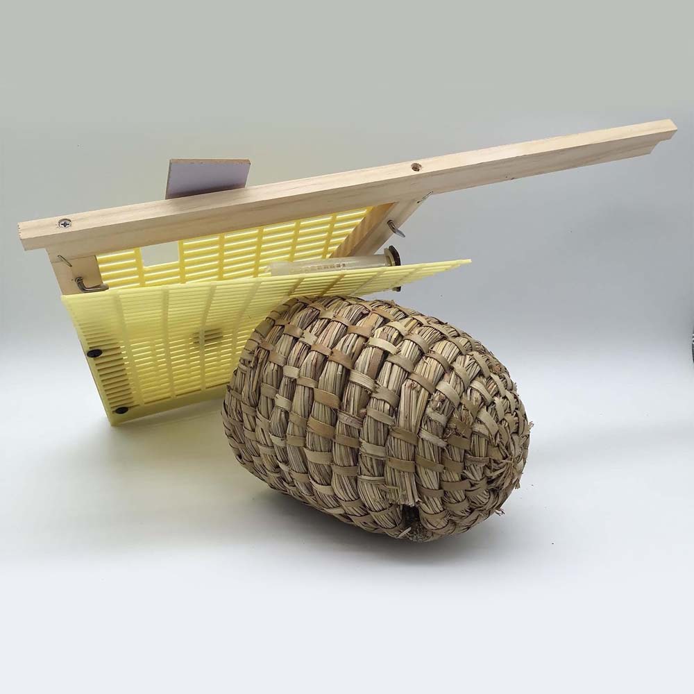 Imgut® Griglia di Arresto per l'Allevamento Ottimizza la Gestione dell'Alveare