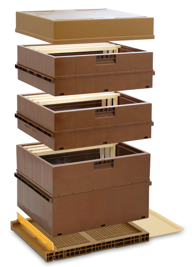 Arnia Dadant Blatt in Termoplastica