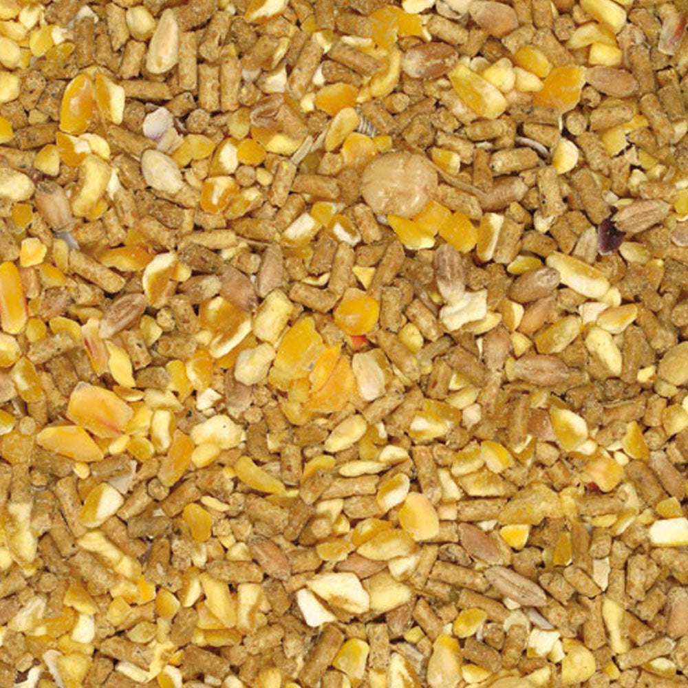 Mangime Coccodoro NO OGM per Galline Ovaiole 12,5Kg