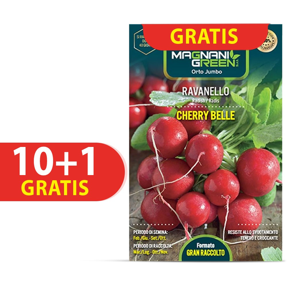 Magnani Cherry Belle Radieschen