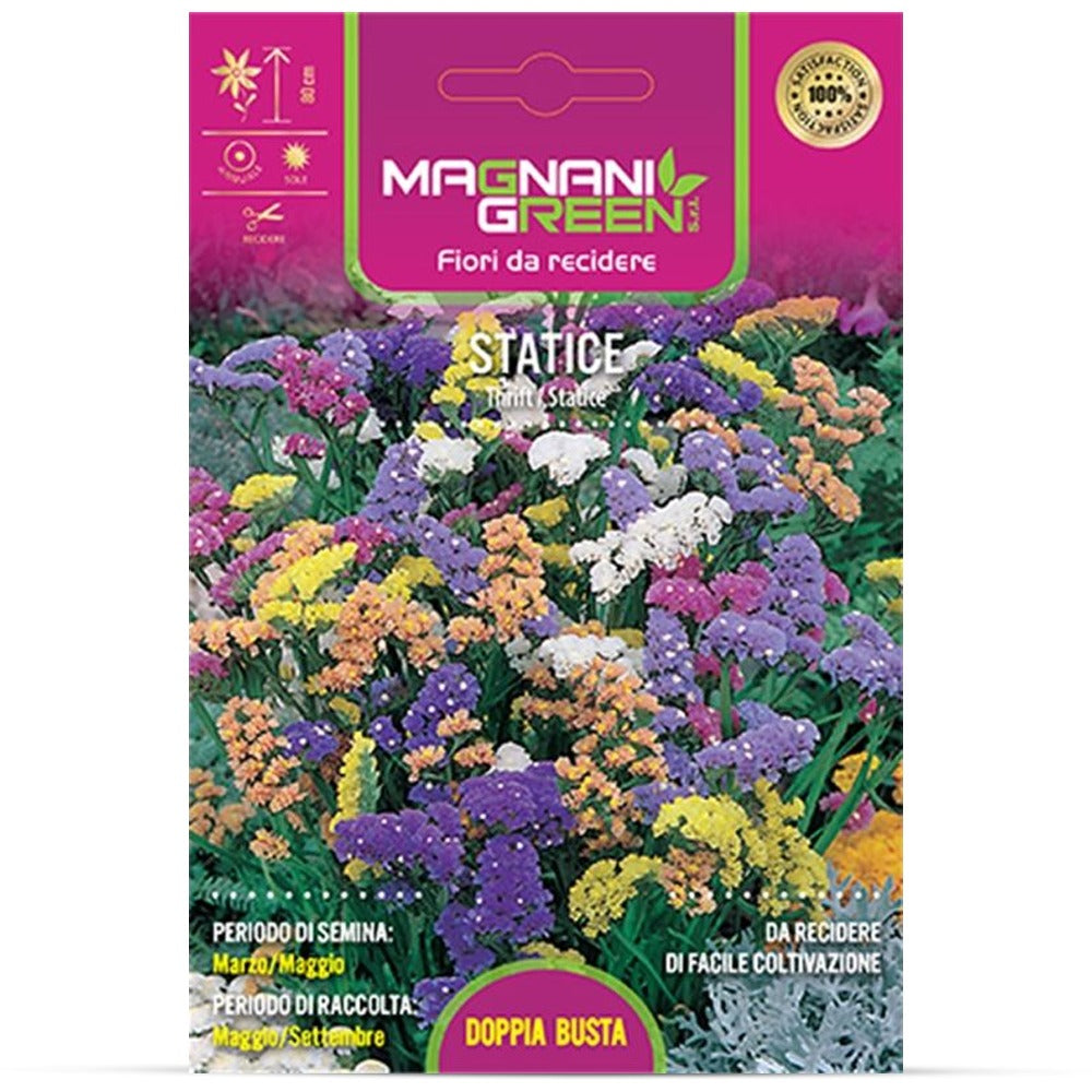 Magnani Statice – Mixed Statice Seeds
