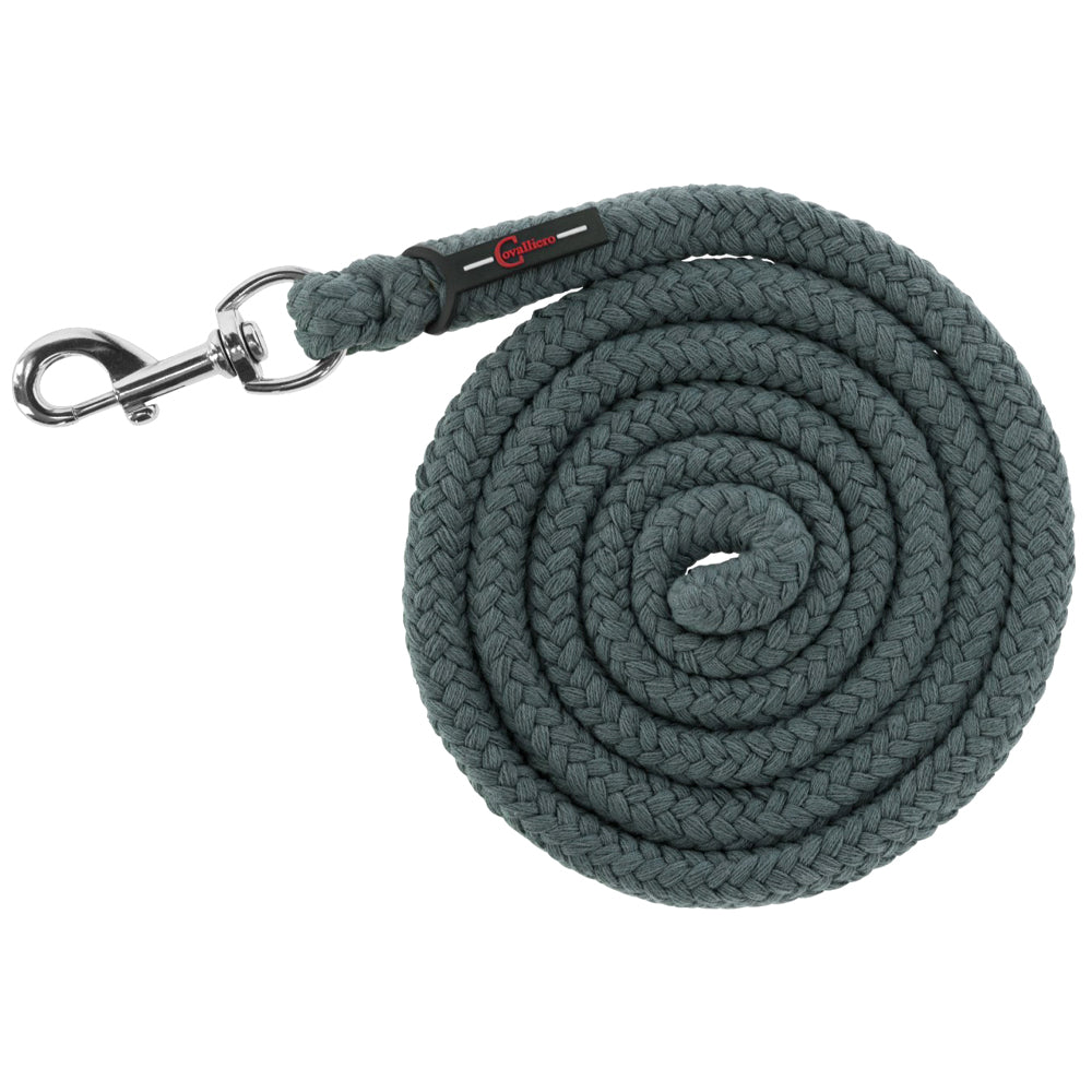 Longhina Doria con Moschettone e Gancio Antipanico – 2m Verde Giada – Extra Spessa – Coordinata con la Cavezza Doria – 1/25