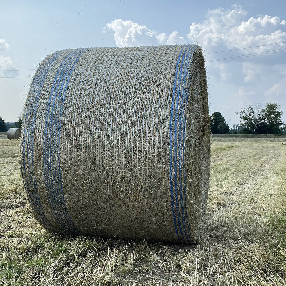 Rete per balloni Special 1,30m