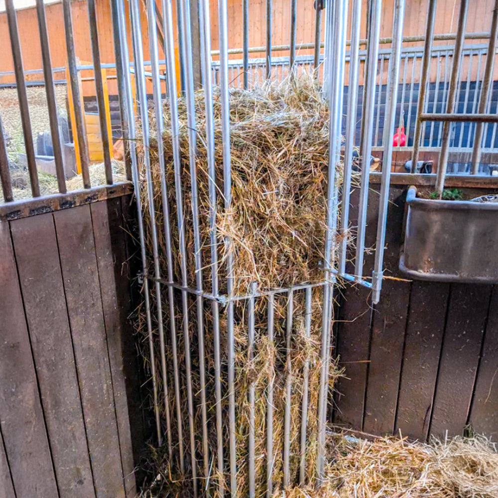 Mangatoia da Parete Regolabile per Cavalli – da 1,00 a 2,00 m per Stalla e Recinto