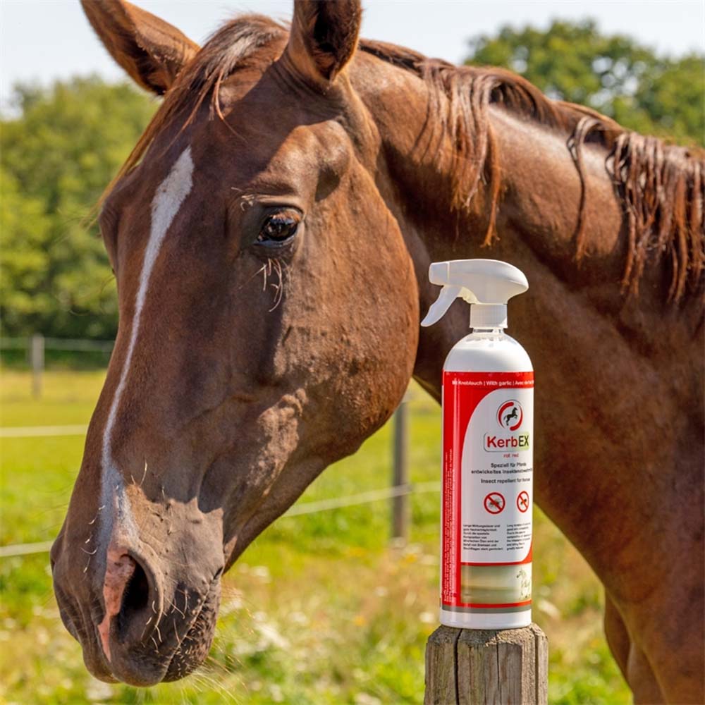 Kerbex rosso con aglio I repellente insetti I antimosche per cavalli