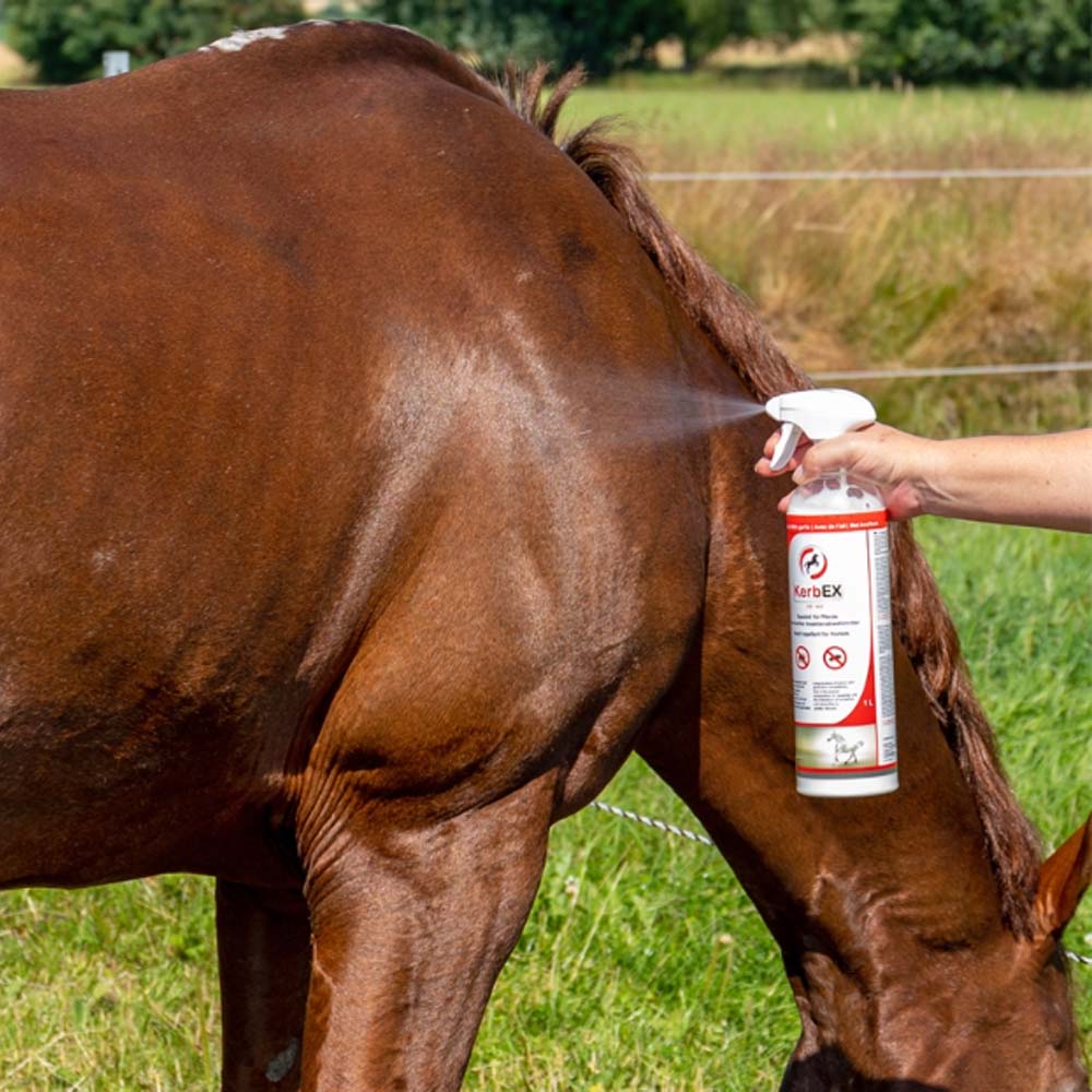 Kerbex rosso con aglio I repellente insetti I antimosche per cavalli