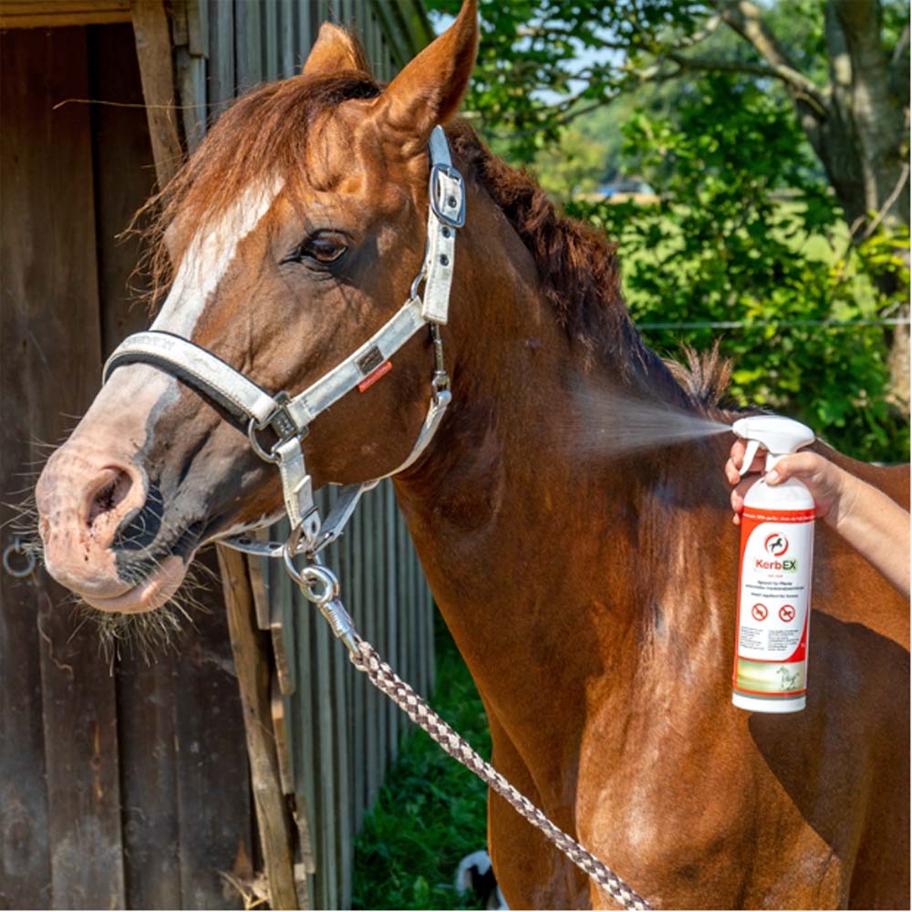 Kerbex rosso con aglio I repellente insetti I antimosche per cavalli