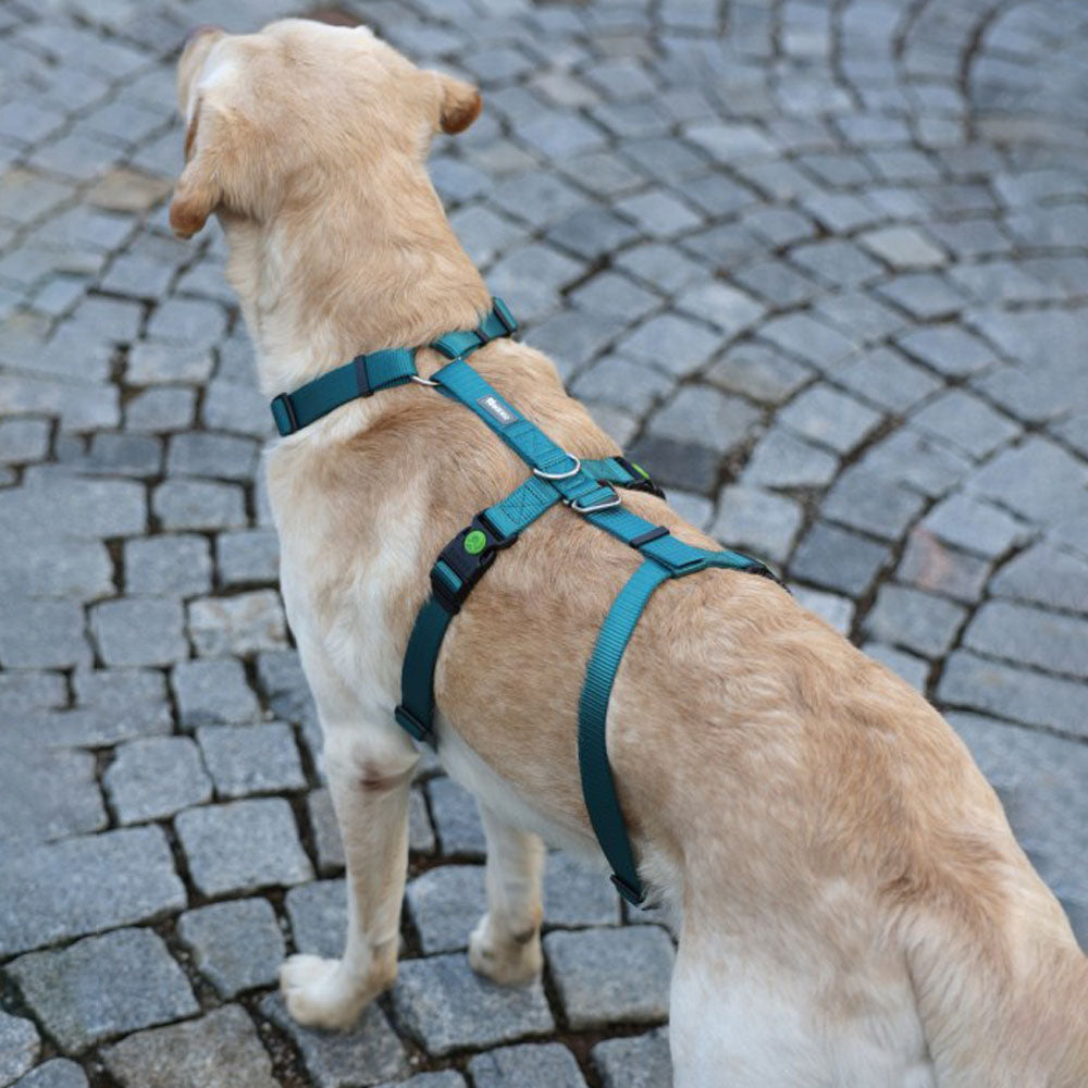 Pettorina antipanico Miami per cani