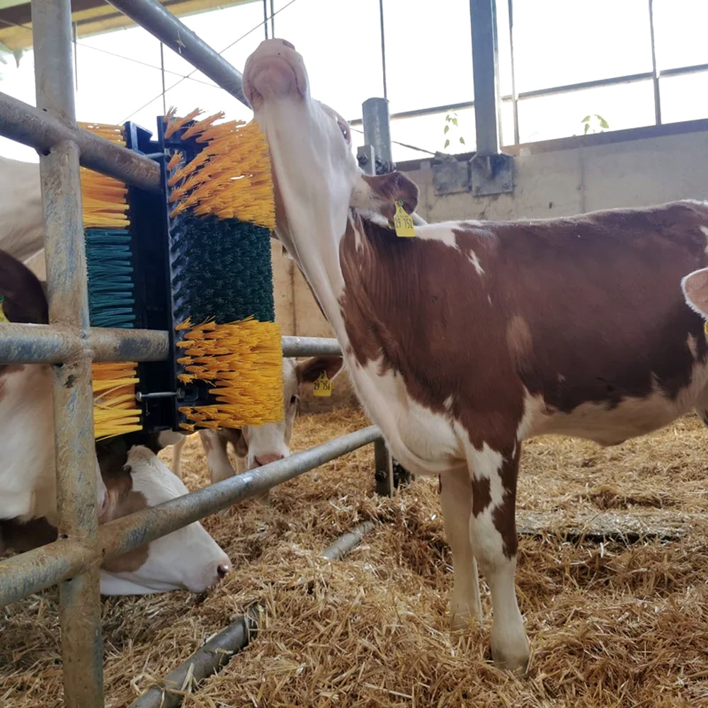 Set completo spazzola Multifix angolare per grattarsi – Ideale per bovini, cavalli e altri animali