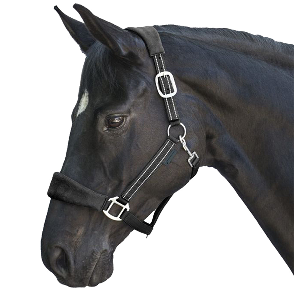 Capezza in Alcantara Imbottita