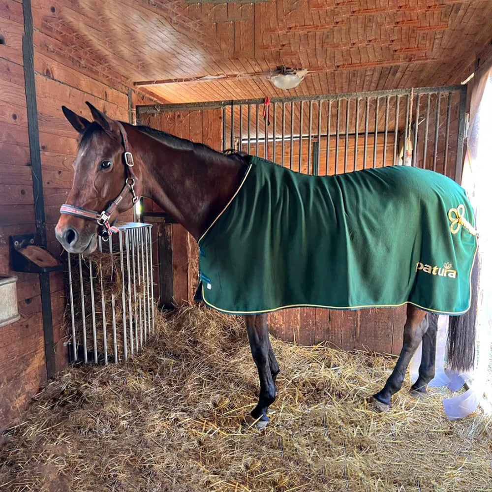 Mangatoia da Parete Regolabile per Cavalli – da 1,00 a 2,00 m per Stalla e Recinto