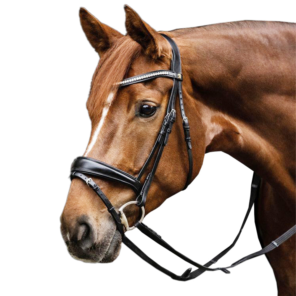 Briglia Filetto S-Line Essential in Pelle Nera