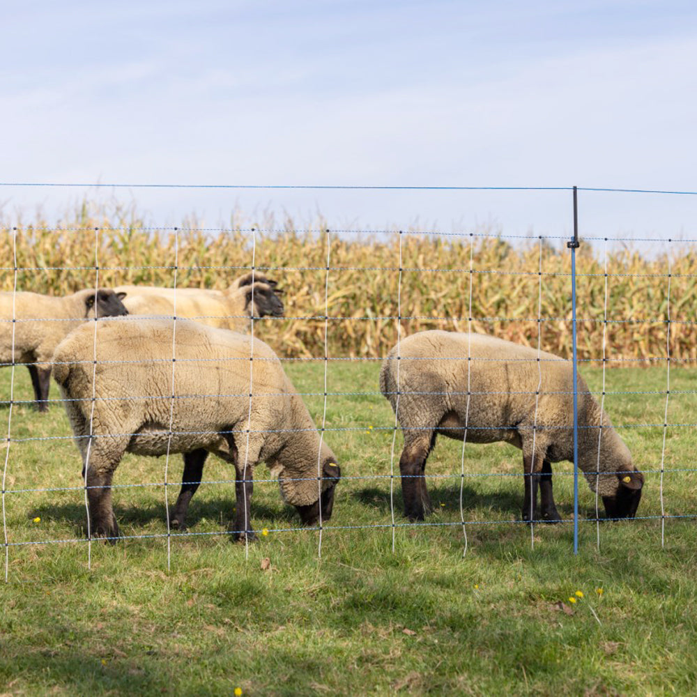 Set Integrativo WolfStop per Reti da Pascolo – 10 Pezzi