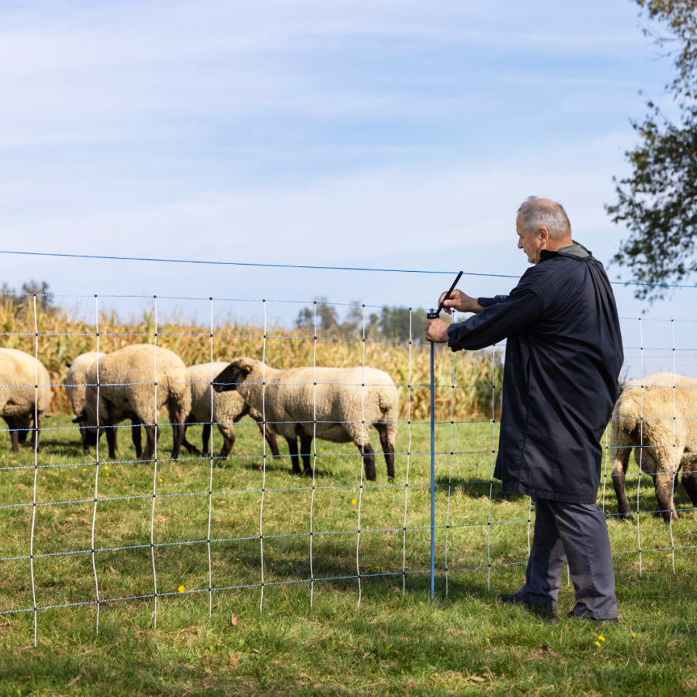 Set Integrativo WolfStop per Reti da Pascolo – 10 Pezzi