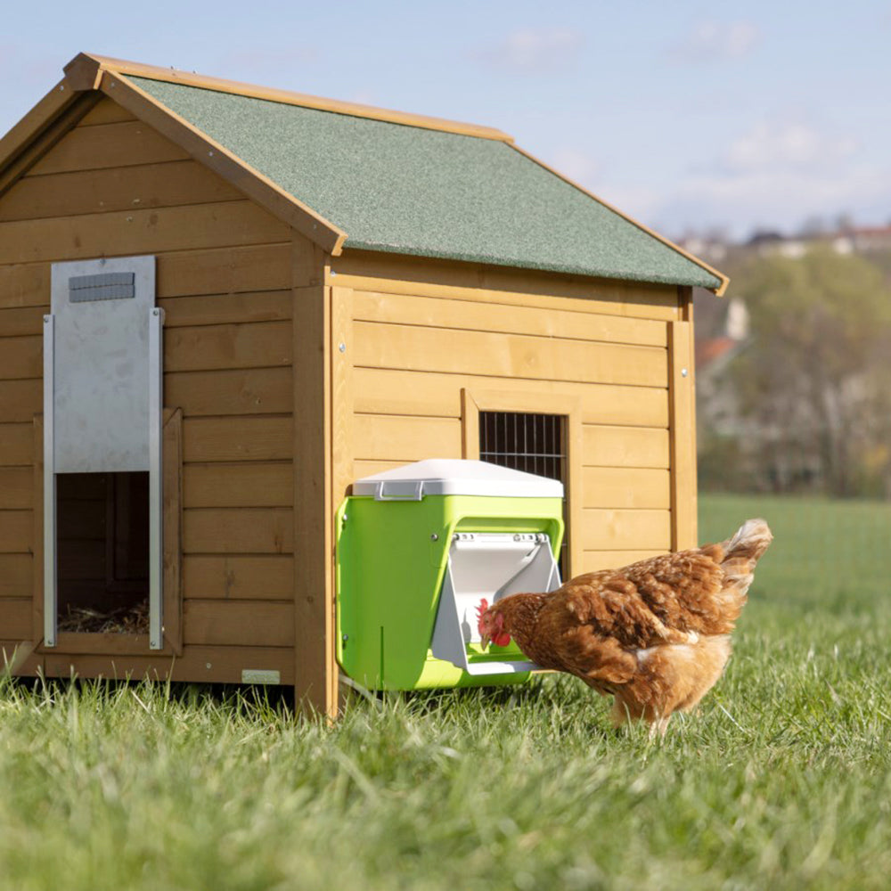 Distributore Automatico SmartCoop con Sportello di Sicurezza per Polli e Volatili