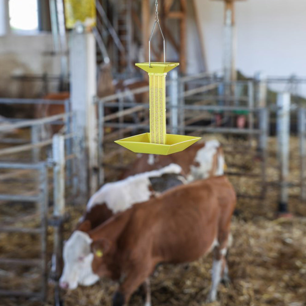 Trappola per Mosche in Plastica con Staffa Sospensione