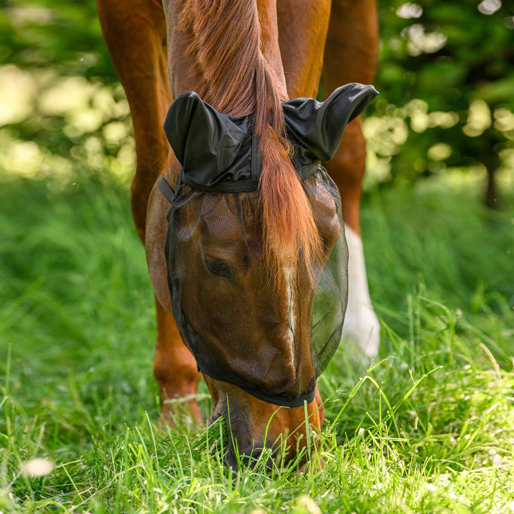 Maschera antimosche cavalli Basic con orecchie - Nero