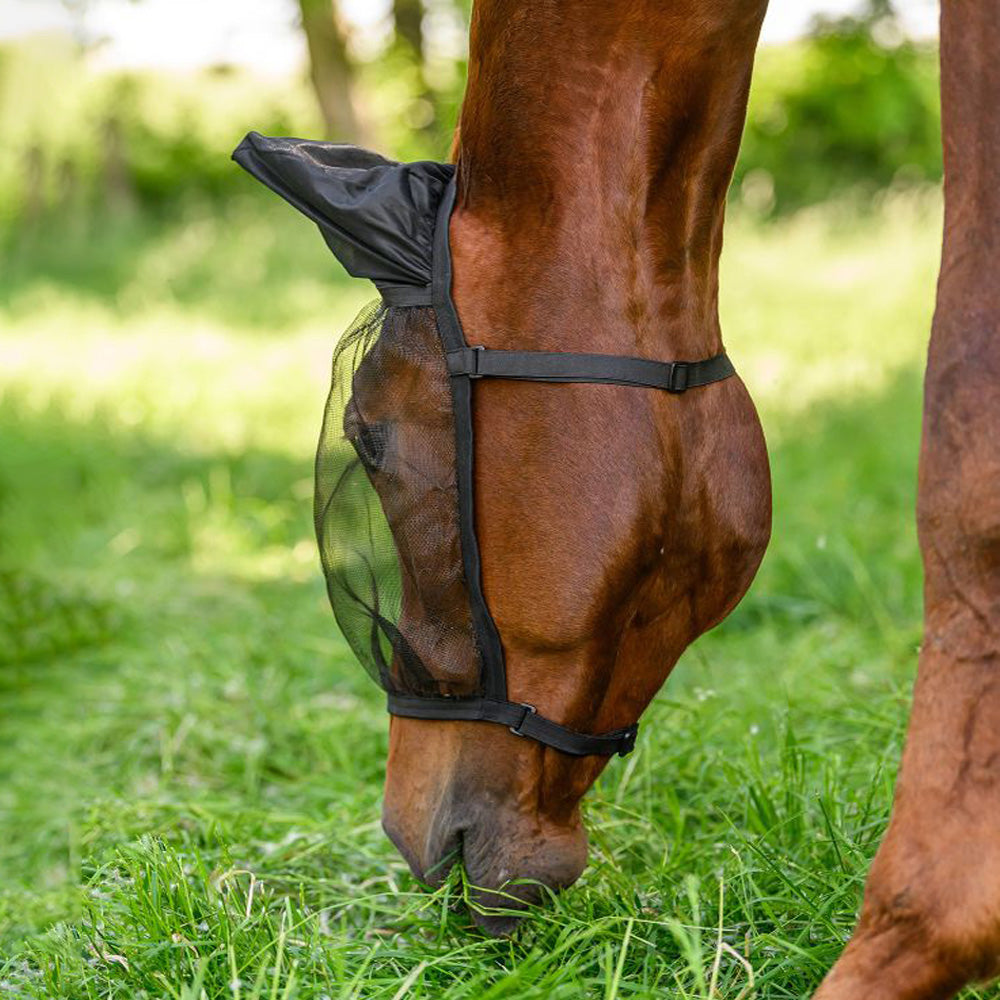 Maschera antimosche cavalli Basic con orecchie - Nero