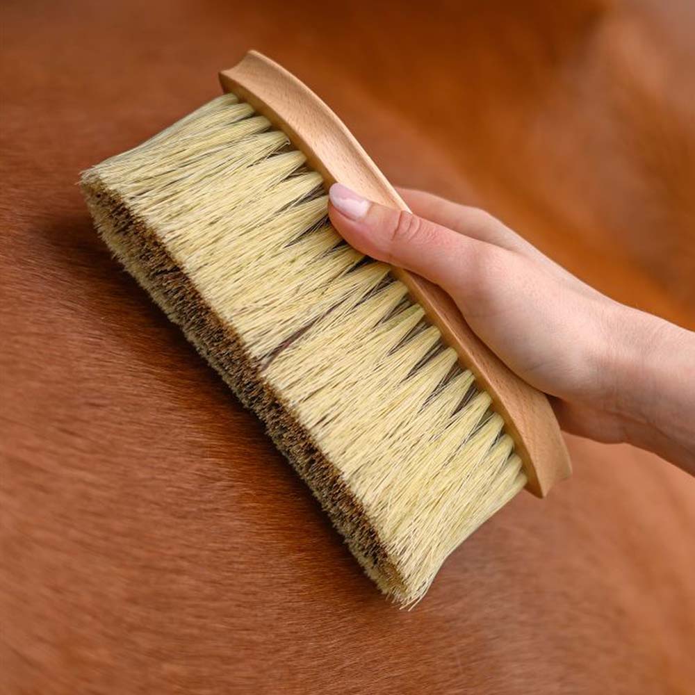 Spazzola Exclusive Line Cavallo per Cura del Pelliccia