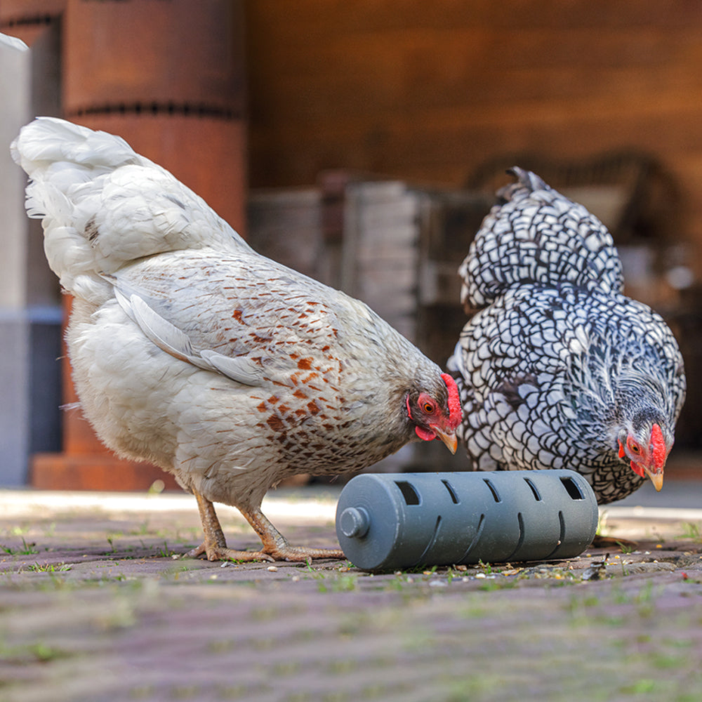 Rotolo di snack riciclato al 100% per giocattolo per l'alimentazione dei polli