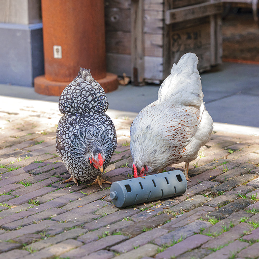 Rotolo di snack riciclato al 100% per giocattolo per l'alimentazione dei polli