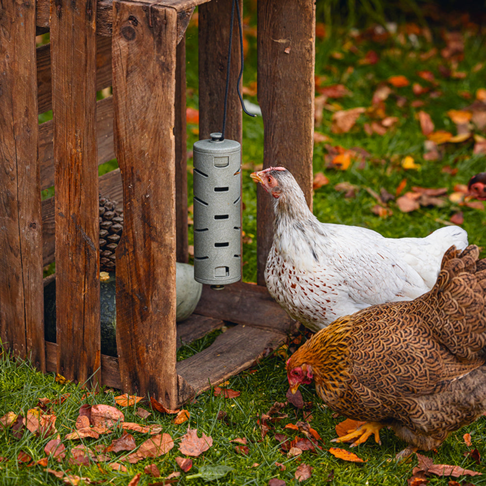Rotolo di snack riciclato al 100% per giocattolo per l'alimentazione dei polli
